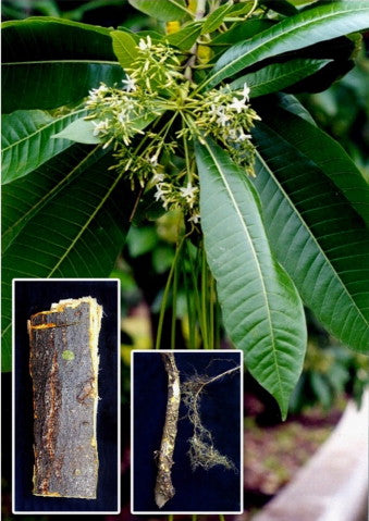 Blackboard Tree Extract