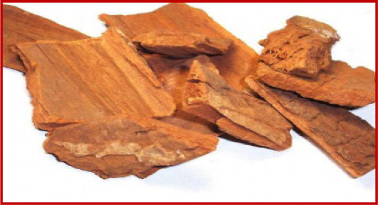 Blackboard Tree Extract
