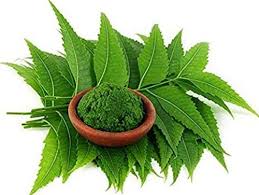 Neem Extract