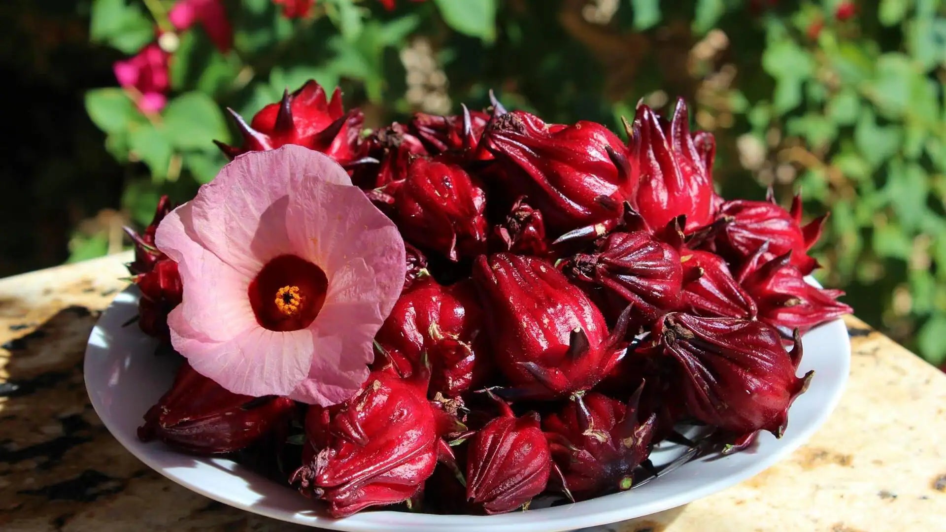 Roselle Extract