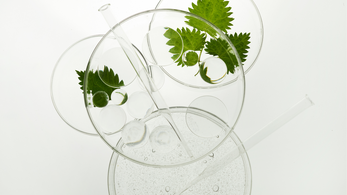 Why every beauty brand needs a skilled cosmetic chemist, a guide by The INCI Lab