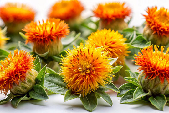 Safflower Extract