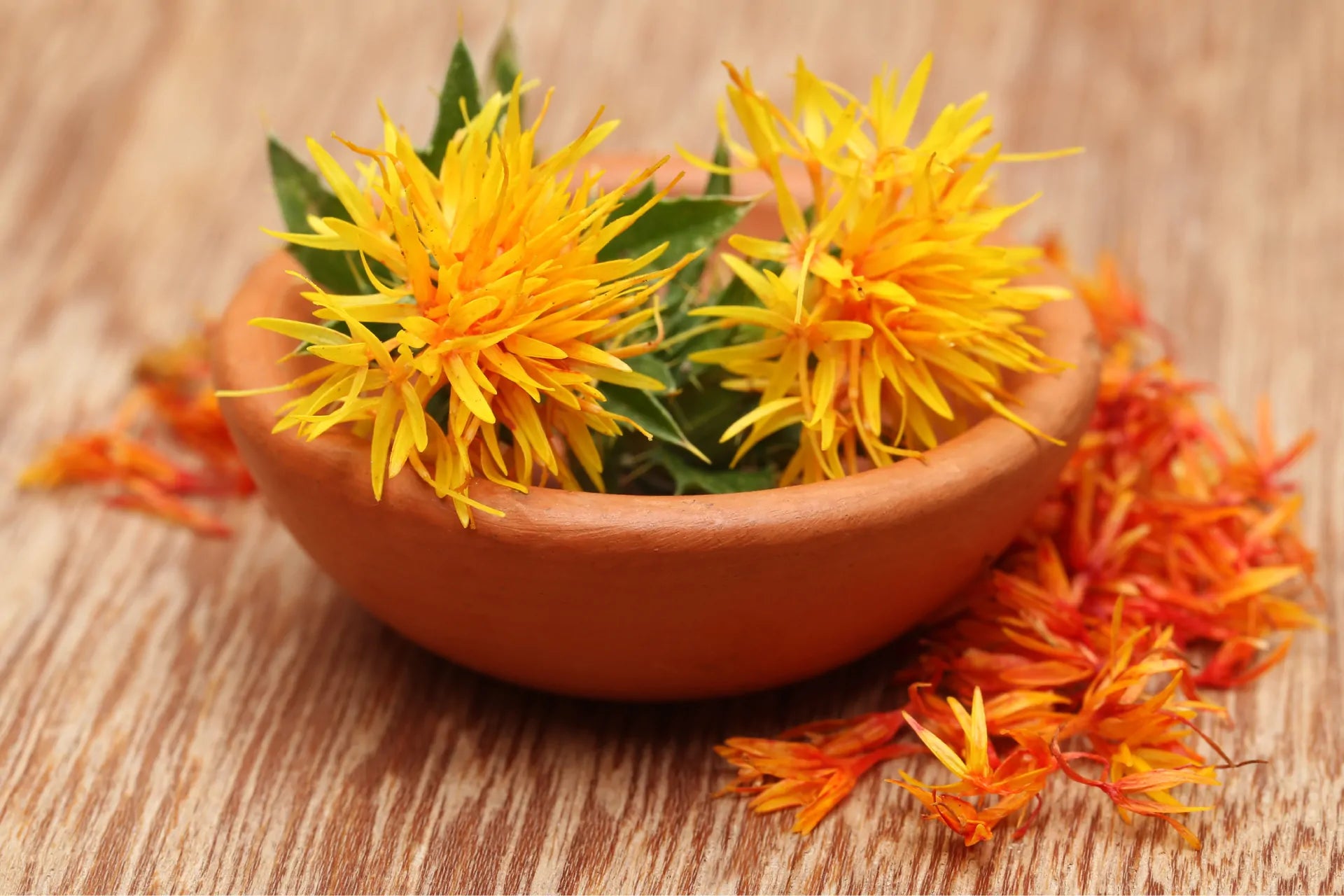 Safflower Extract