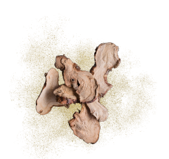 B-Gold cosmetic active ingredient used in skincare formulation at The INCI Lab