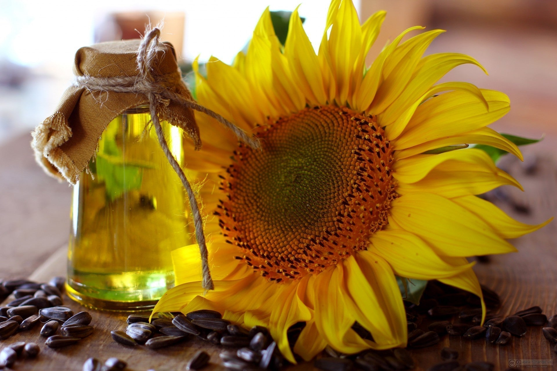 Sunflower Seed Extract