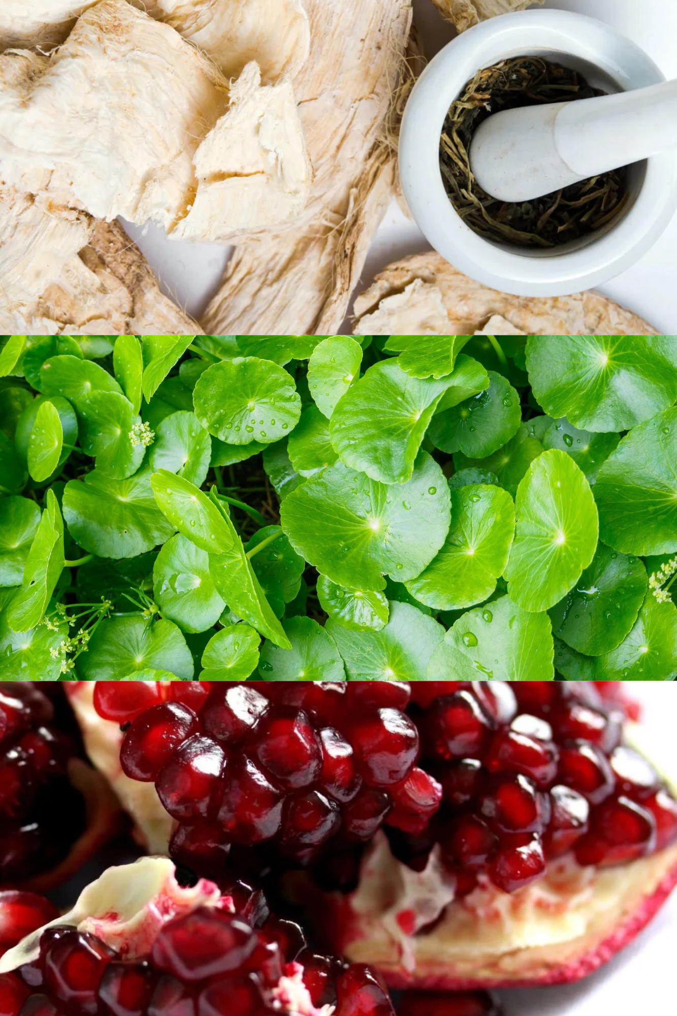 Anti-aging complex