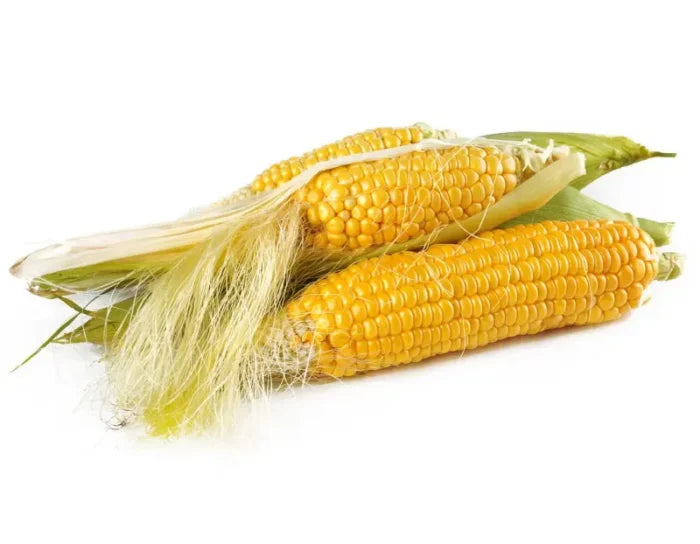 Corn silk Extract
