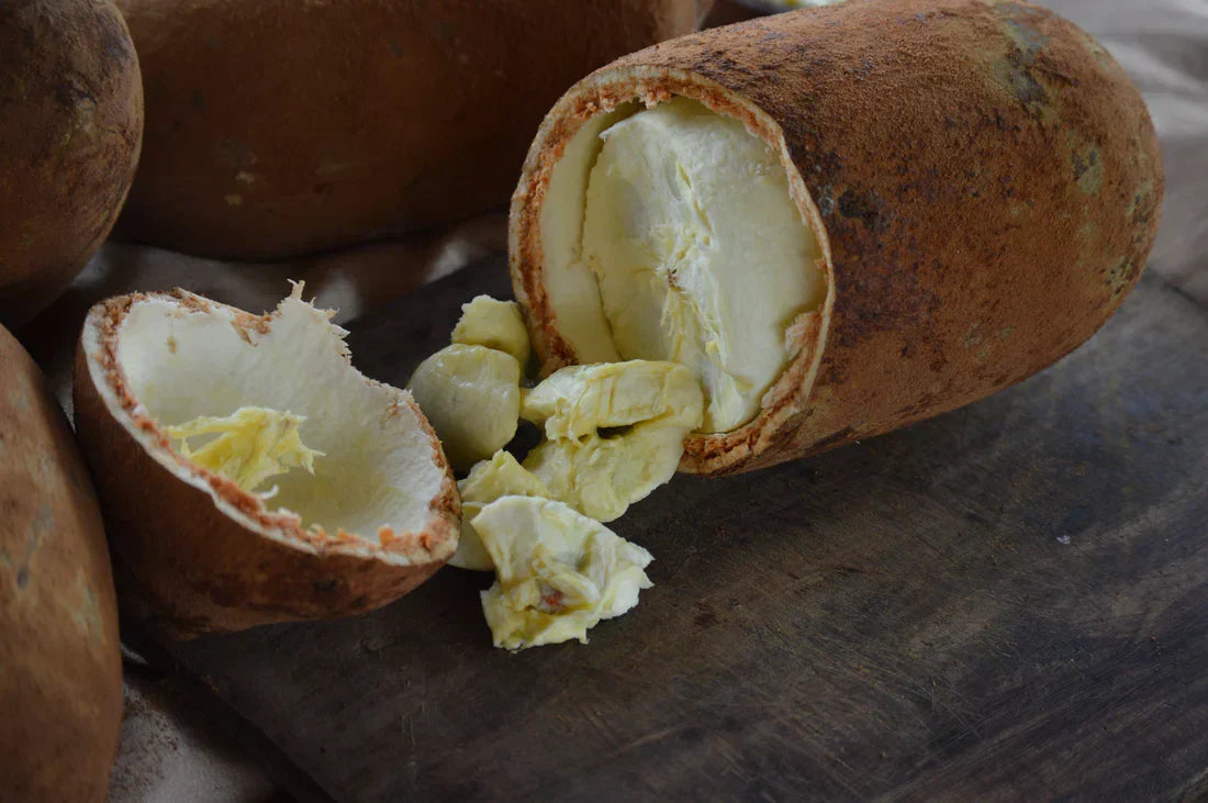 Cupuacu butter Extract