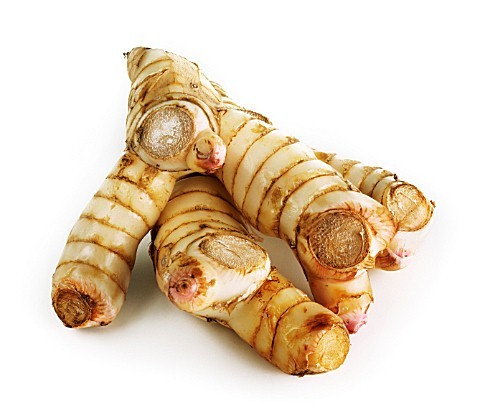 Thai Ginger Extract