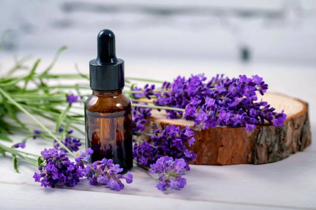 Lavender essential oil in a glass bottle beside fresh lavender, a soothing cosmetic ingredient used in skincare formulation