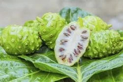 Noni Extract