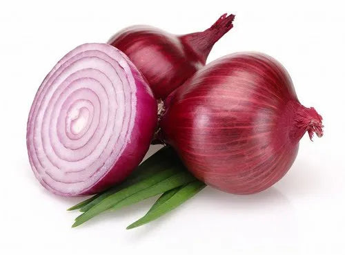 Onion Extract