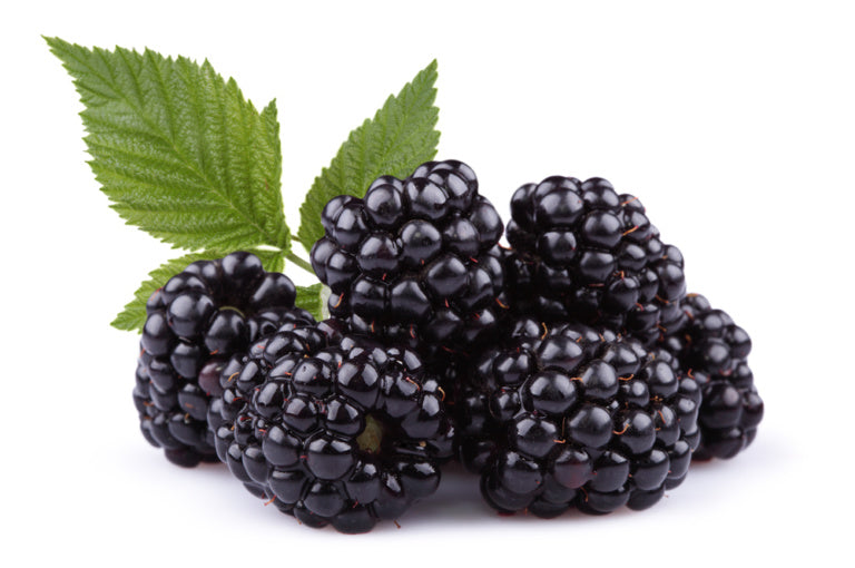 Blackberry Extract
