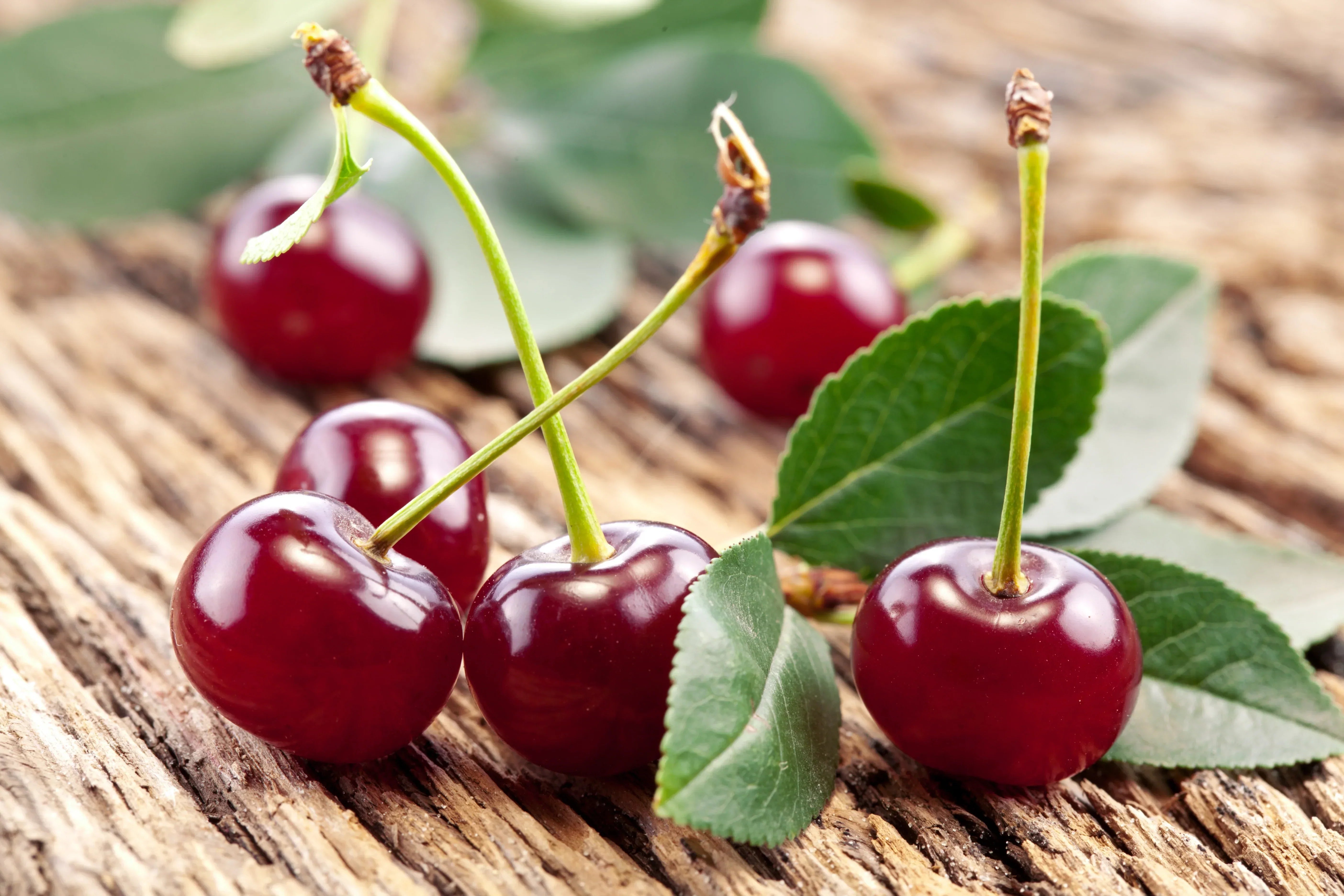 Cherry Seed Extract