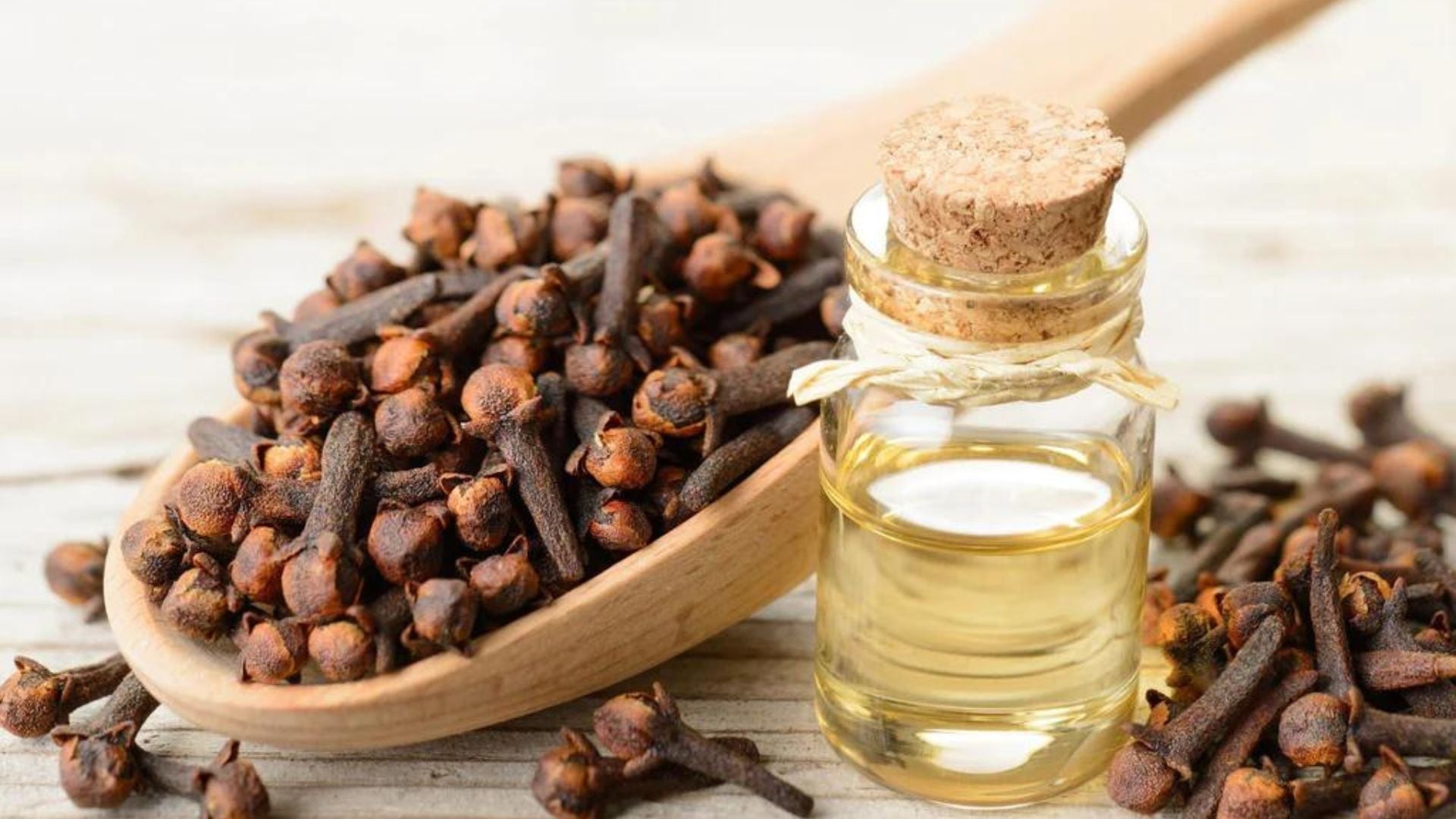 Clove Extract