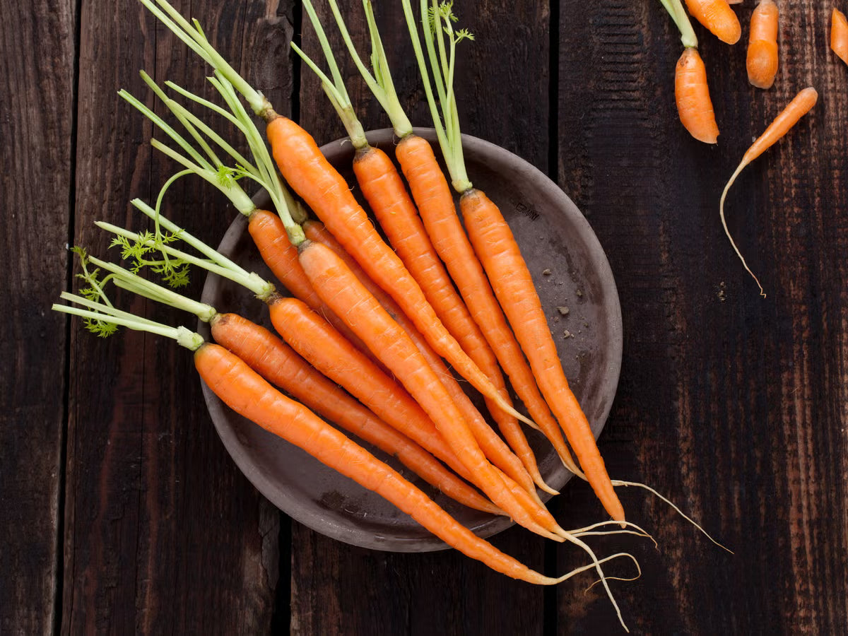 Carrot Extract