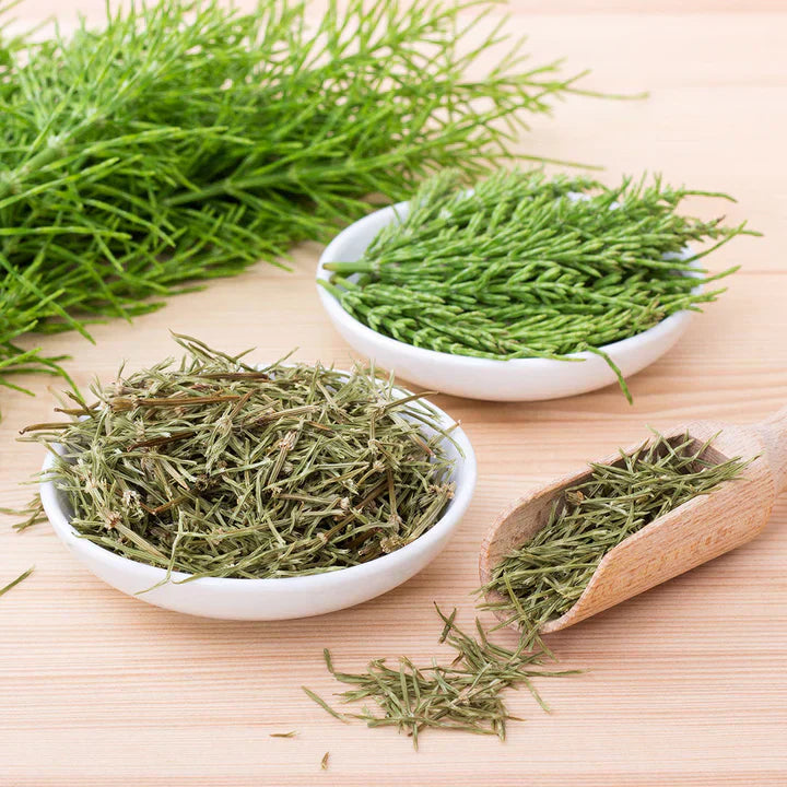 Horsetail Extract