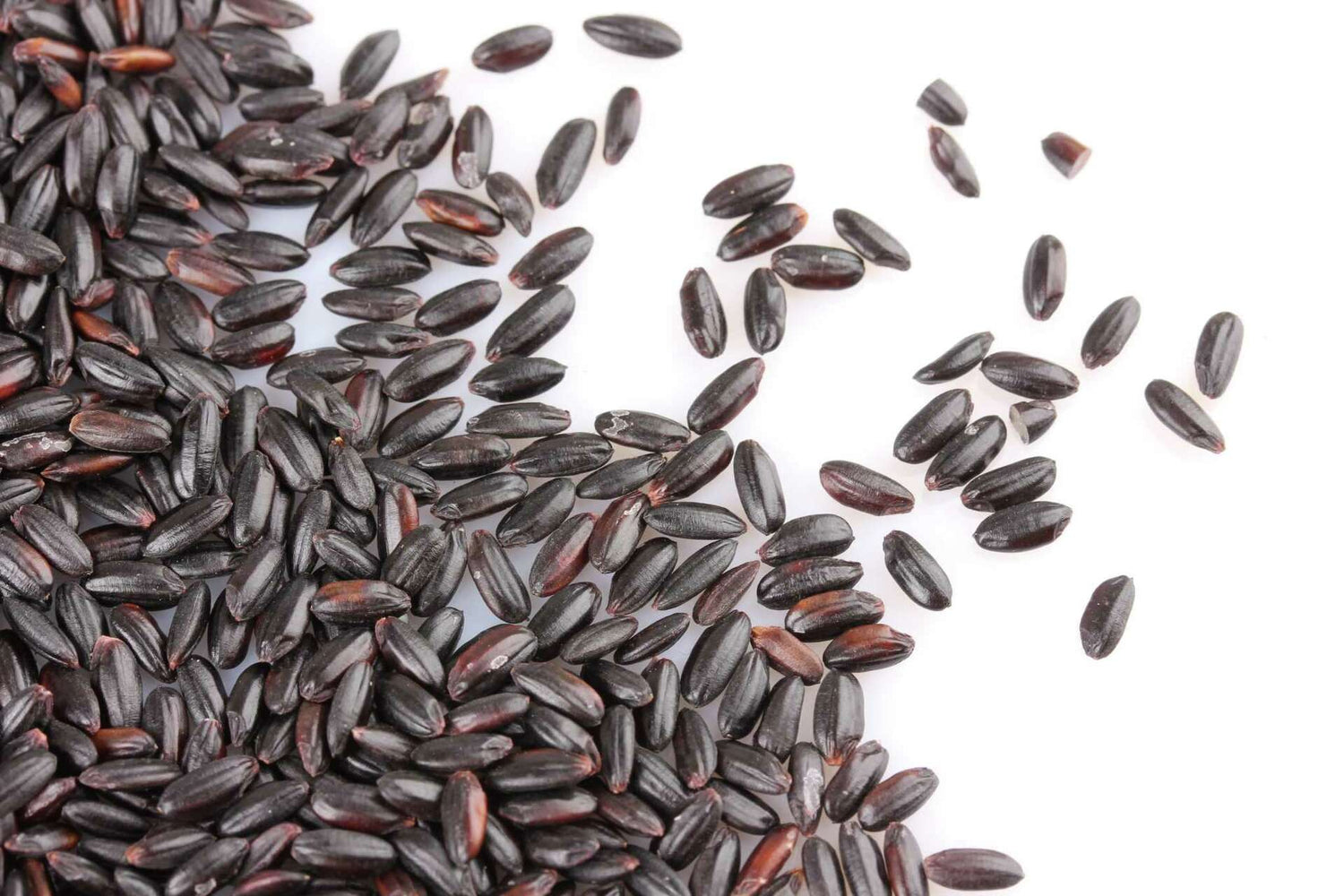 Black glutinous rice Extract