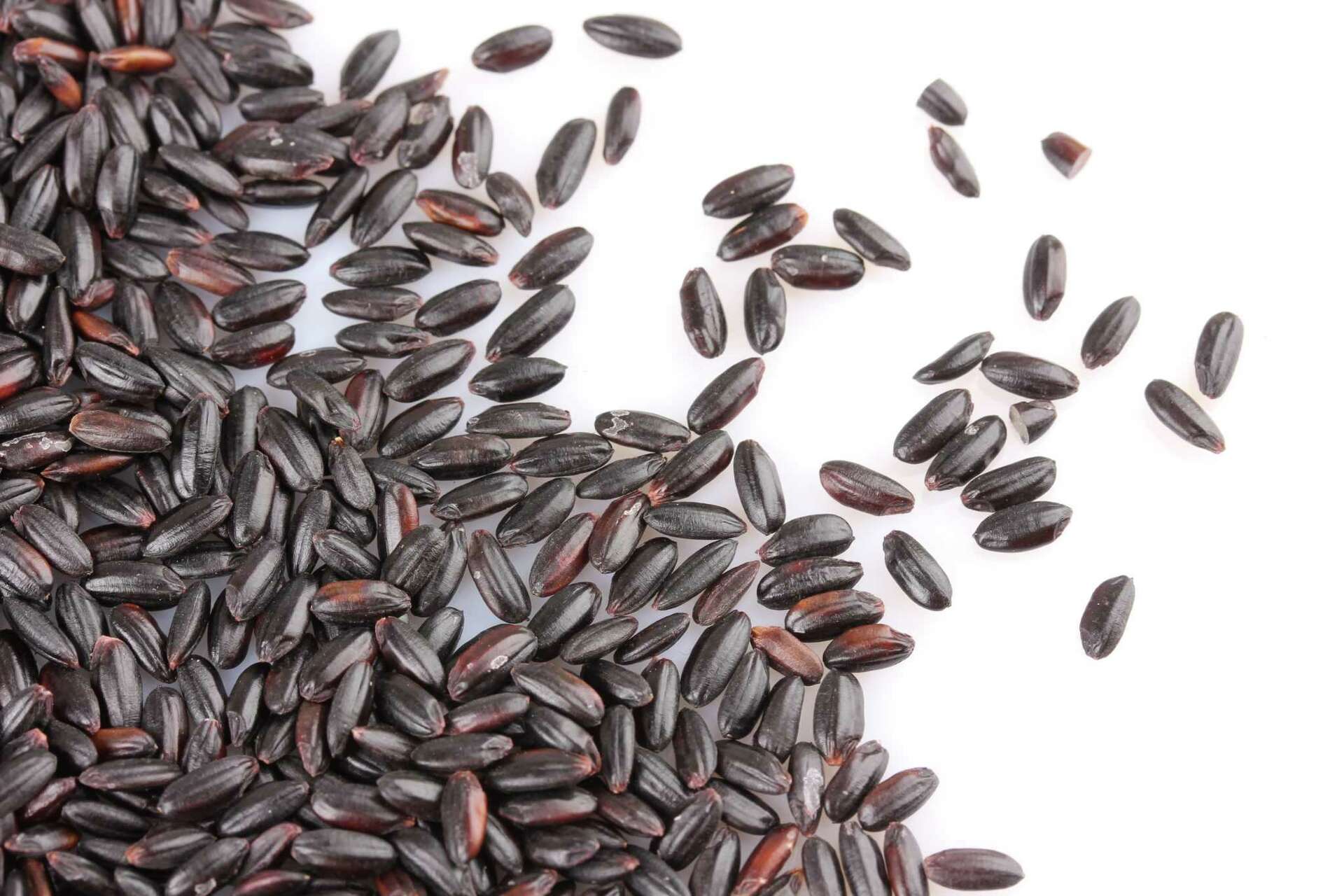 Black glutinous rice Extract