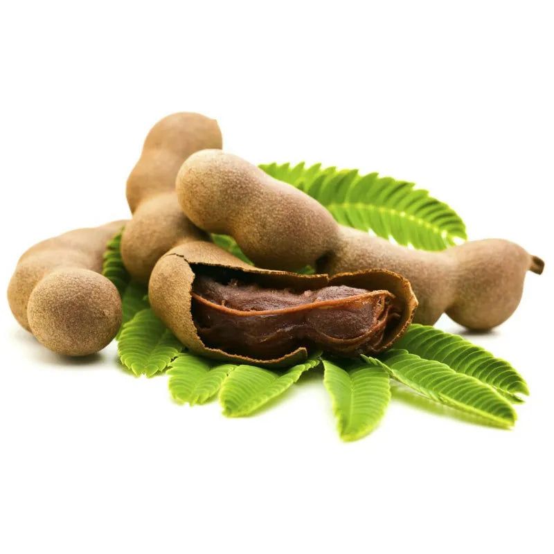 Tamarind Extract